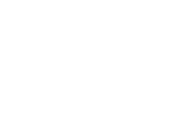 Intersport blanc