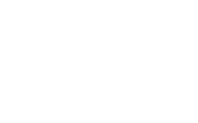 Conforama l