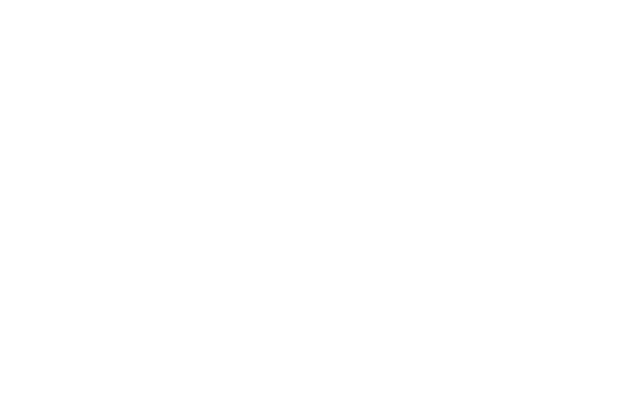 Rossignol L