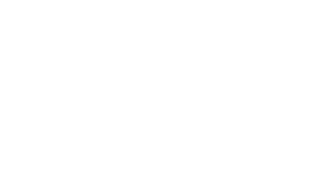 weiss logo
